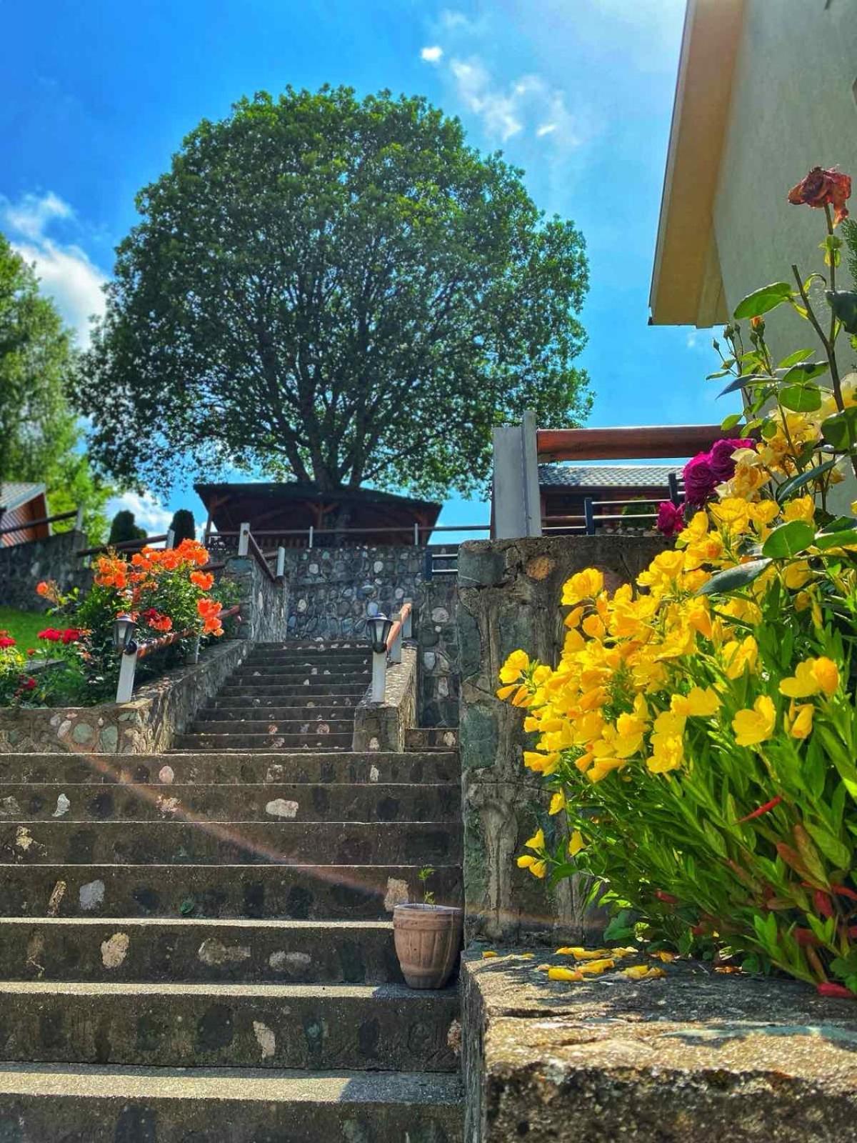 Motel Krstac โมจโคแวก ภายนอก รูปภาพ